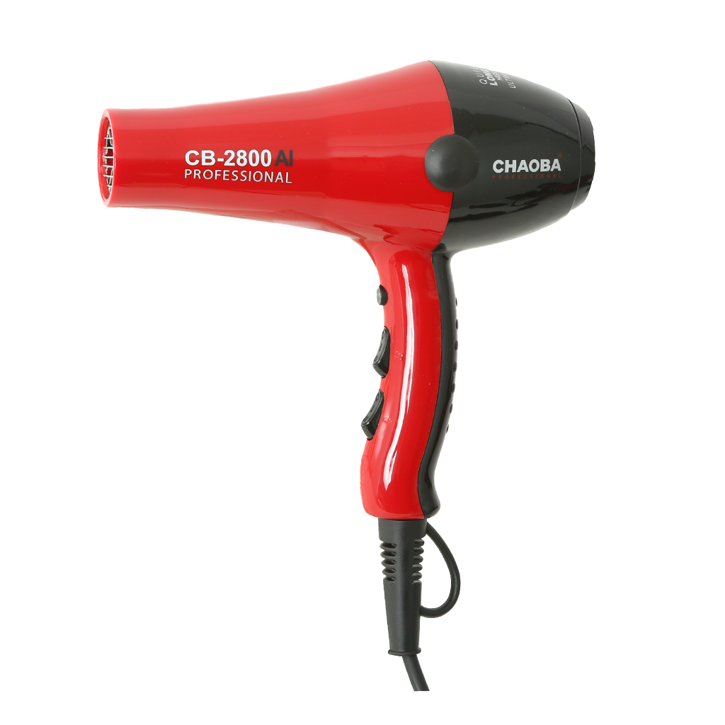 Secador Profesional Ligero con Motor sin Escobillas