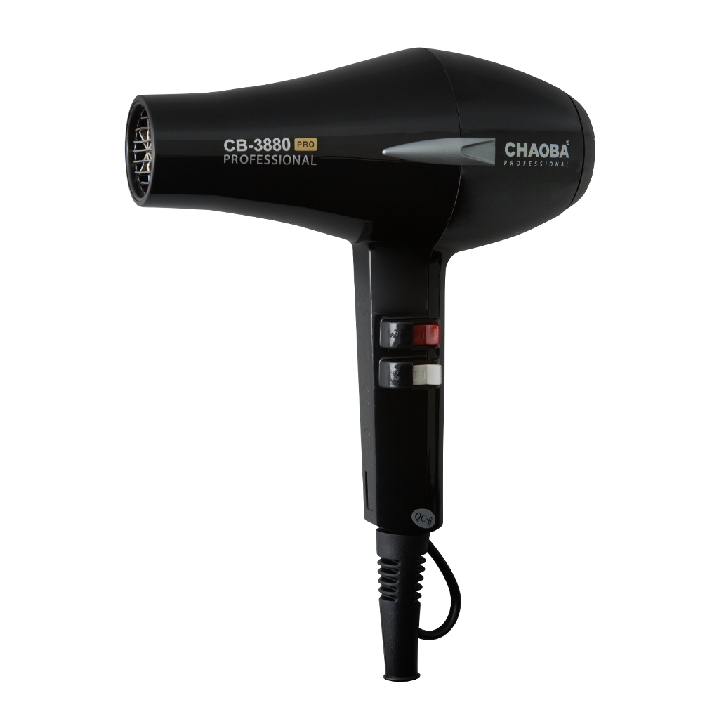 Secador Profesional Ligero con Motor sin Escobillas