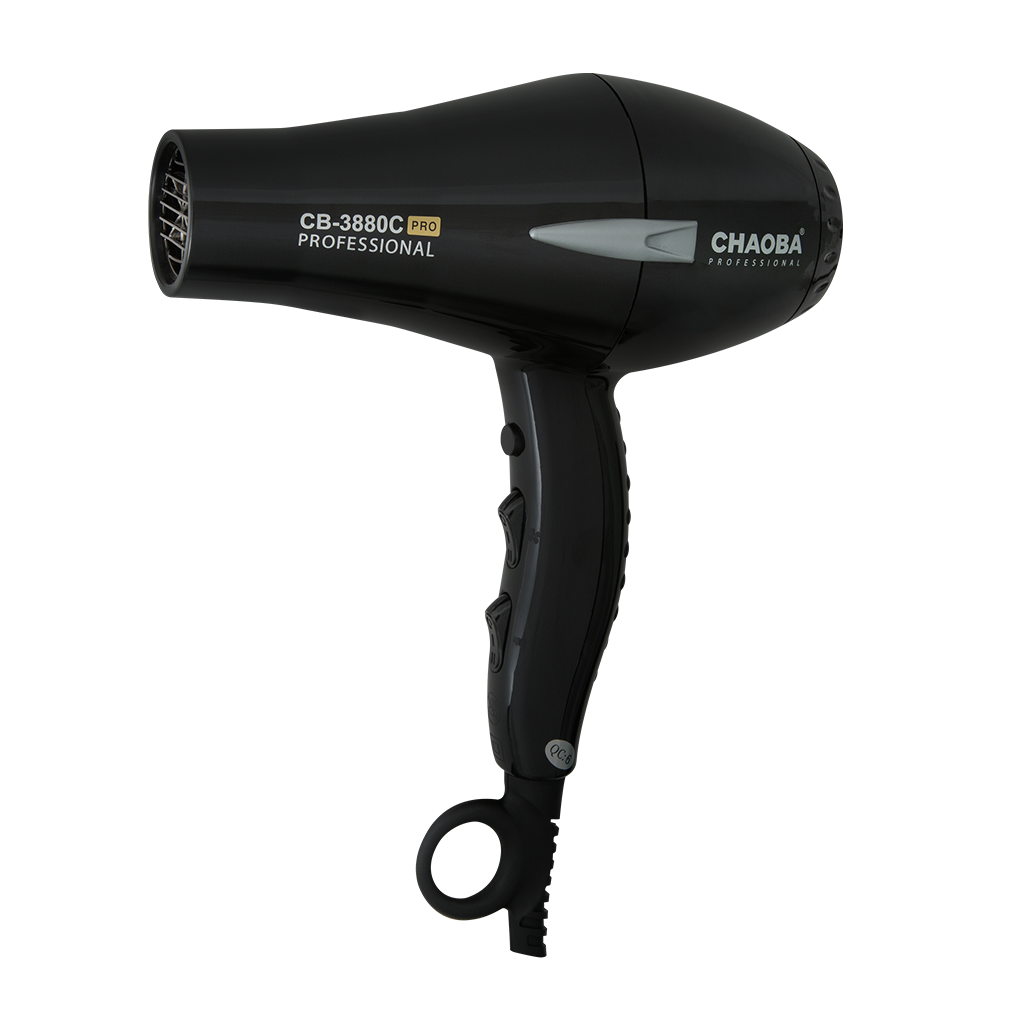 Secador Profesional Ligero con Motor sin Escobillas
