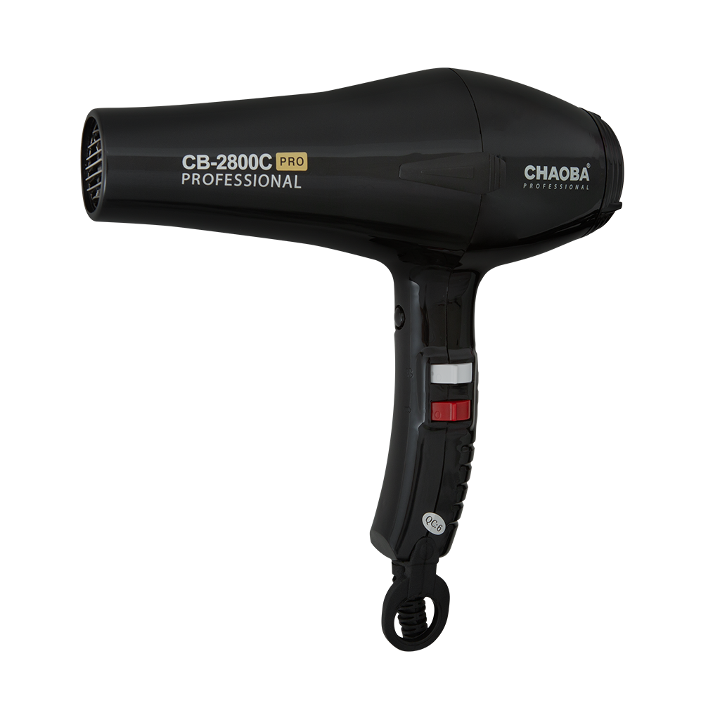 Secador Profesional Ligero con Motor sin Escobillas