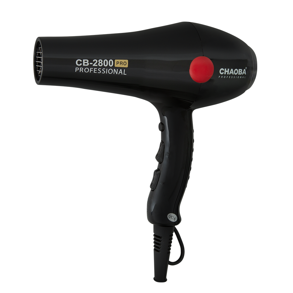Secador Profesional Ligero con Motor sin Escobillas