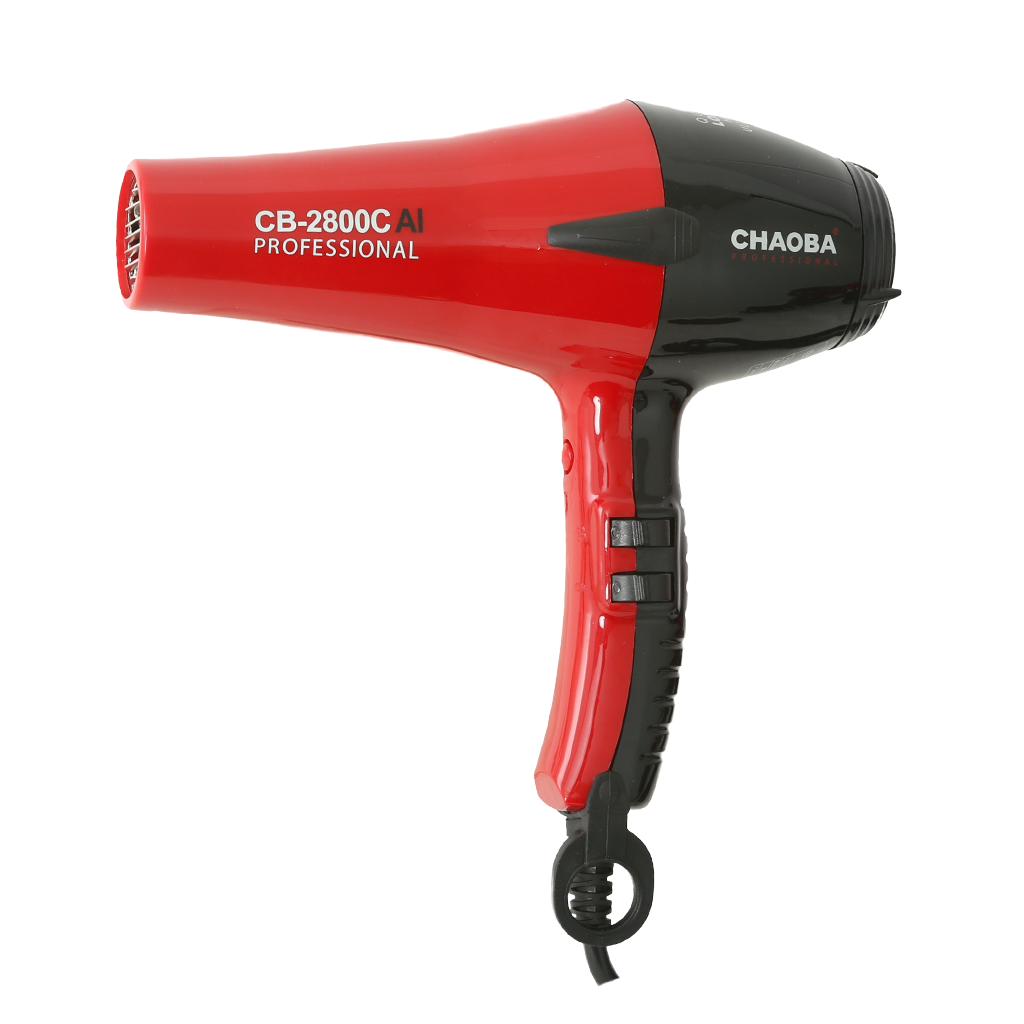 Secador Profesional Ligero con Motor sin Escobillas